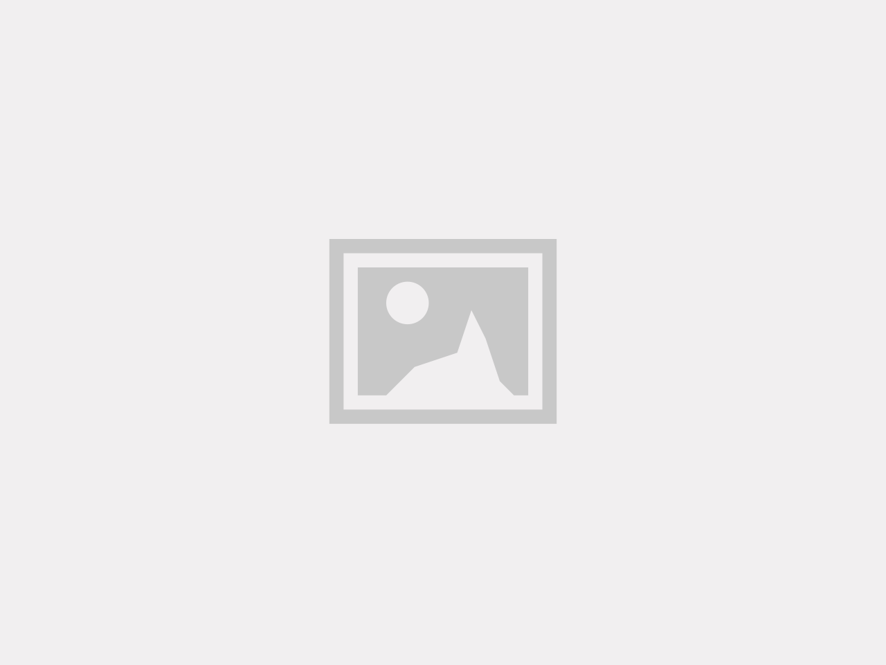 Koreansk silverbuske `Brilliant Rose´- Elaeagnus umbellata `Brilliant Rose´´
